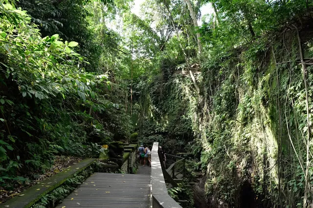 Photo of The sacred monkey forest in Bali by Shilpi