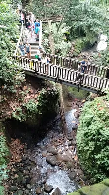 Photo of The sacred monkey forest in Bali by Shilpi