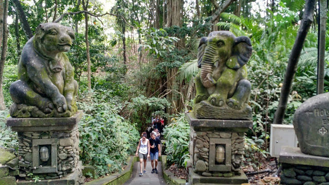 Photo of 5 places to see when in Ubud, Bali 6/17 by Shilpi