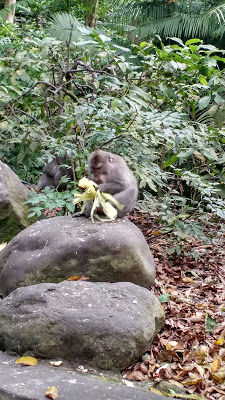 Photo of 5 places to see when in Ubud, Bali 8/17 by Shilpi