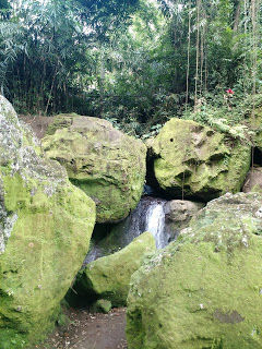 Photo of 5 places to see when in Ubud, Bali 17/17 by Shilpi