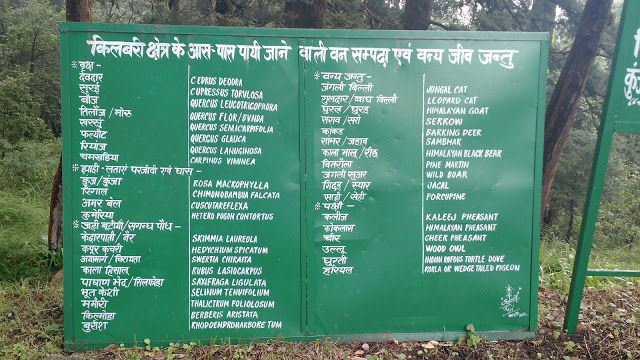 Photo of Nature's retreat - Kilbury Forest, Nainital 1/13 by Shilpi