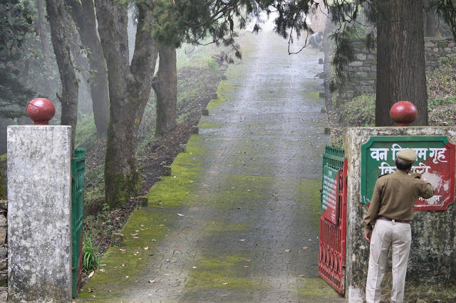 Photo of Nature's retreat - Kilbury Forest, Nainital 2/13 by Shilpi