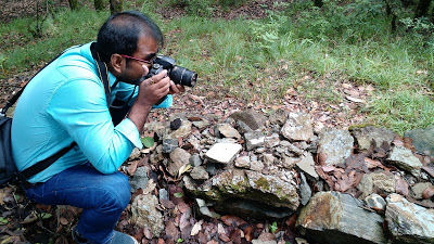 Photo of Nature's retreat - Kilbury Forest, Nainital 11/13 by Shilpi