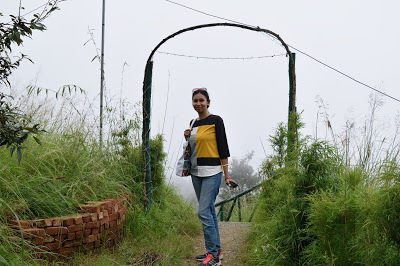 Photo of Offbeat holiday in Pangot, near Nainital by Shilpi