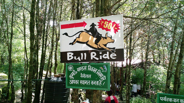 Photo of Uttarakhand Diaries: The nine wonders within Nainital 10/31 by Shilpi