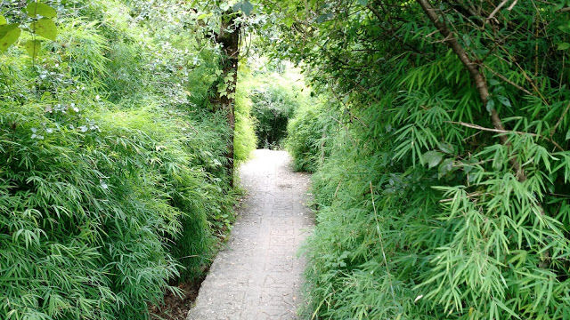 Photo of Uttarakhand Diaries: The nine wonders within Nainital 9/31 by Shilpi