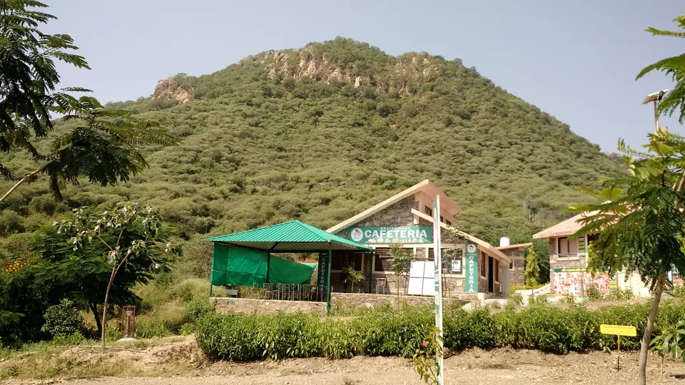 Photo of SajjanGarh Biological Park, Eklavya Colony, Udaipur, Rajasthan, India by Shilpi