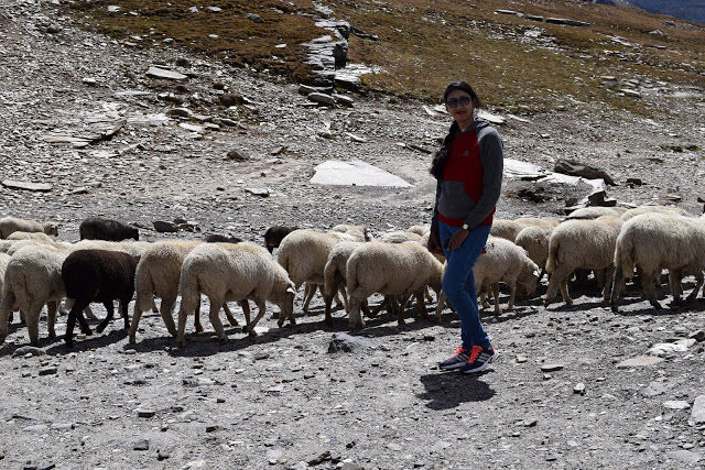 Photo of Trekking Rohtang Pass 11/13 by Shilpi
