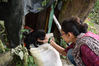 Photo of A day around Nainital- Touring Uttarakhand's "taal" by Shilpi
