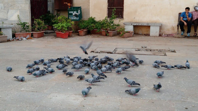 Photo of An evening in Gangaur Ghat, Udaipur 9/20 by Shilpi