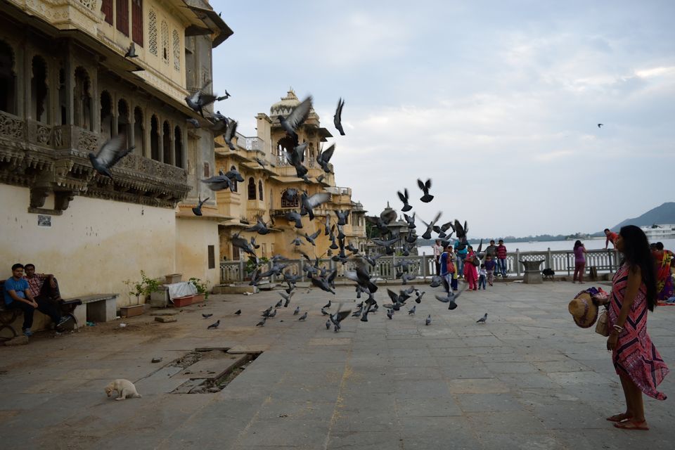 Photo of An evening in Gangaur Ghat, Udaipur 10/20 by Shilpi