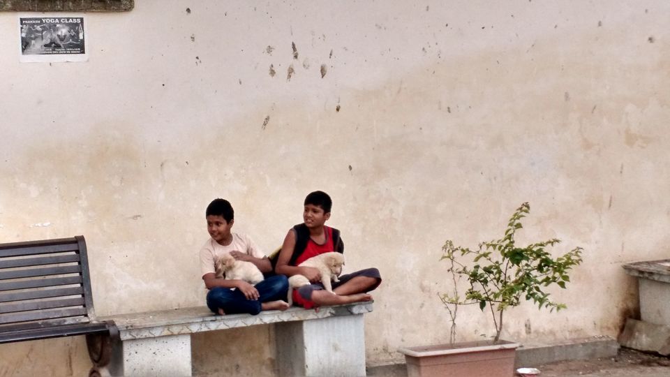 Photo of An evening in Gangaur Ghat, Udaipur 16/20 by Shilpi