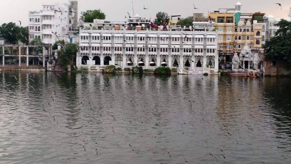 Photo of An evening in Gangaur Ghat, Udaipur 14/20 by Shilpi