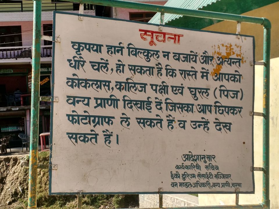 Photo of Kalatop, Himachal Pradesh, India by Shilpi