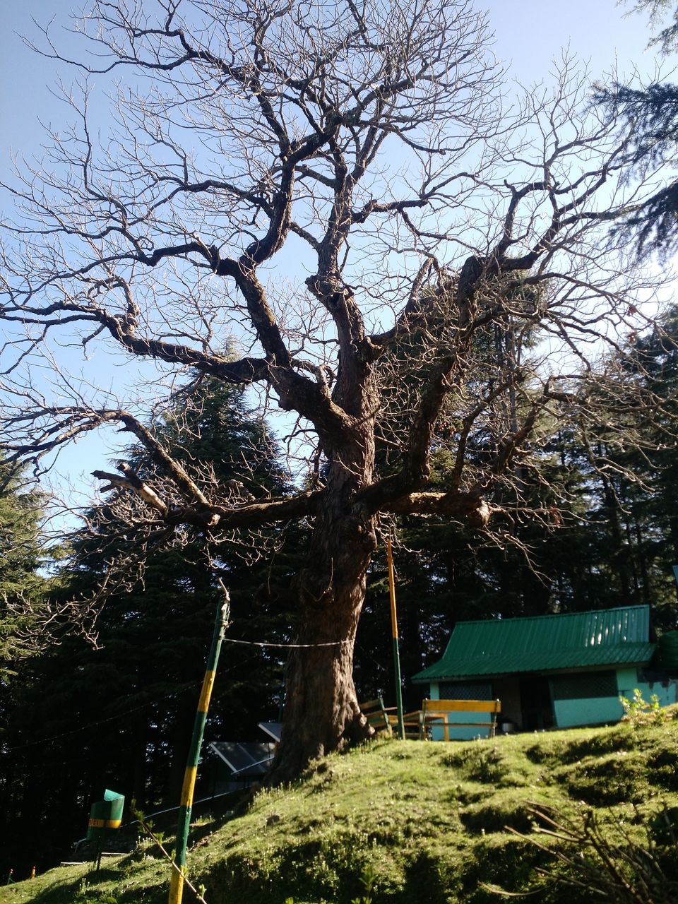 Photo of Kalatop, Himachal Pradesh, India by Shilpi
