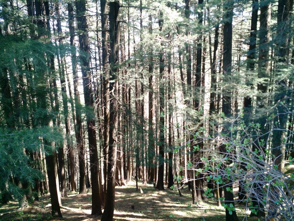 Photo of Kalatop Wildlife Sanctuary in pictures by Shilpi