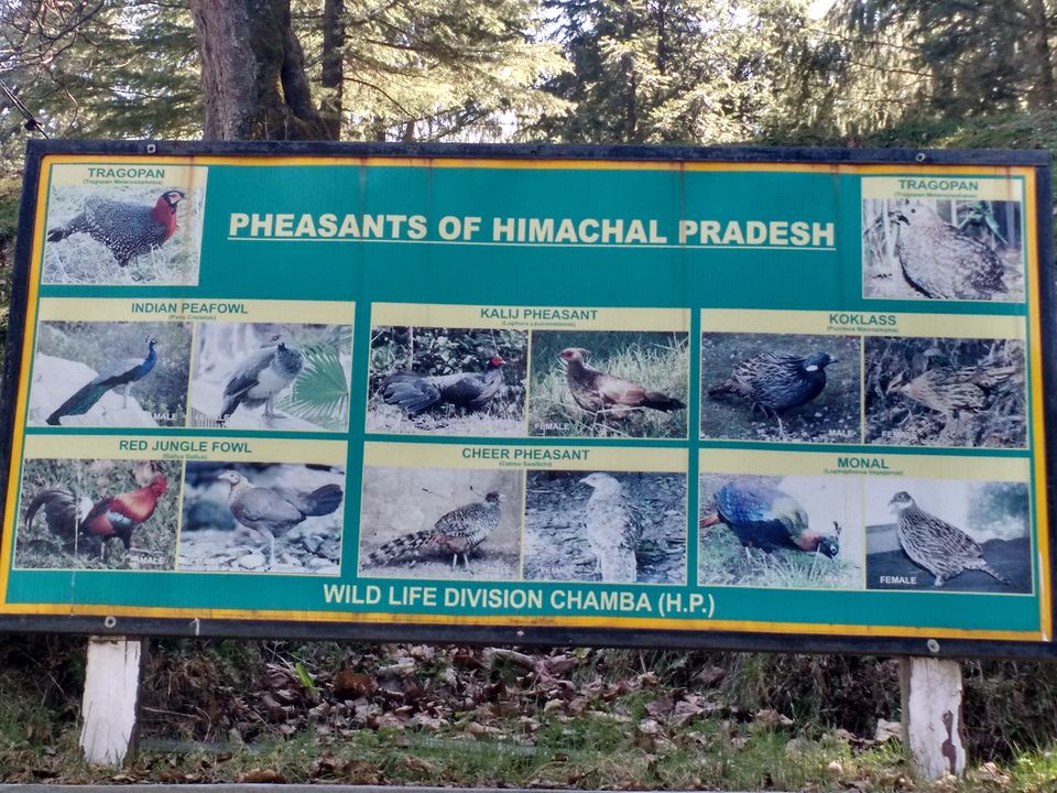 Photo of Kalatop Wildlife Sanctuary in pictures by Shilpi