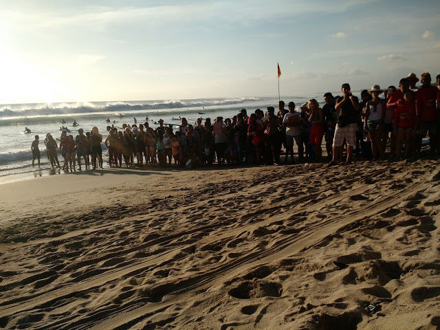 Photo of The best experience in Bali- Releasing baby turtles by Shilpi