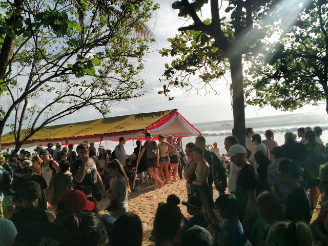 Photo of The best experience in Bali- Releasing baby turtles by Shilpi