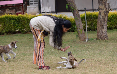 Photo of A luxurious stay in Sariska 12/22 by Shilpi