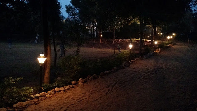 Photo of A luxurious stay in Sariska 15/22 by Shilpi