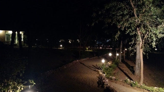 Photo of A luxurious stay in Sariska 16/22 by Shilpi