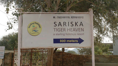 Photo of A luxurious stay in Sariska 22/22 by Shilpi