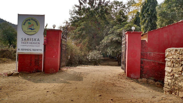 Photo of A luxurious stay in Sariska 19/22 by Shilpi