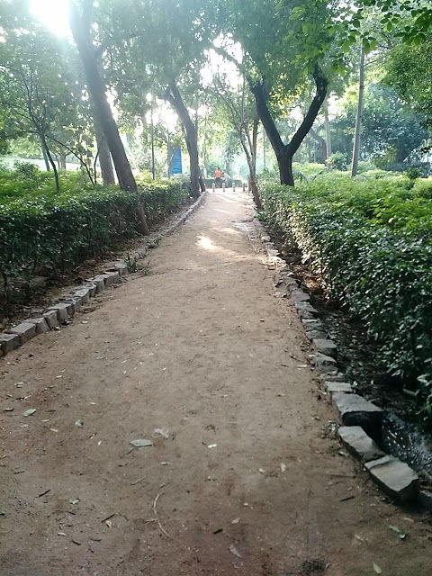Photo of Delhi Heritage: Mehrauli Archaeological Park 2/15 by Shilpi