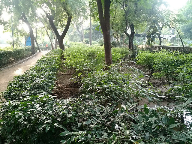 Photo of Delhi Heritage: Mehrauli Archaeological Park 3/15 by Shilpi
