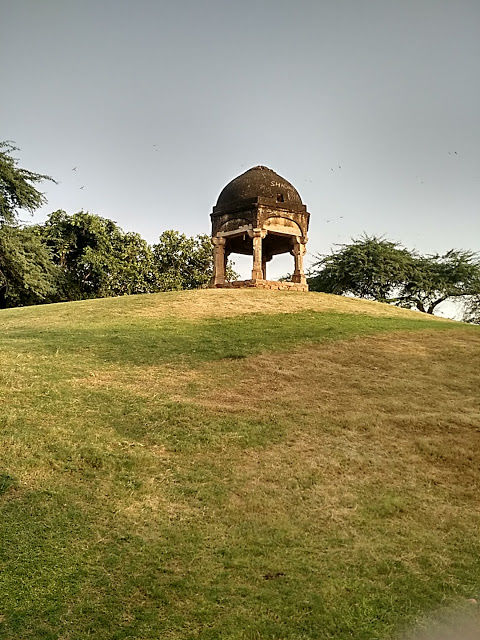 Photo of Delhi Heritage: Mehrauli Archaeological Park 4/15 by Shilpi