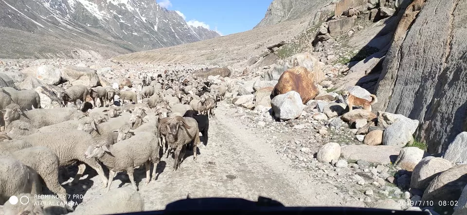 Photo of THE TRAVELLERS SHED , KAZA, Kaza, Himachal Pradesh, India by Dinesh Kumar