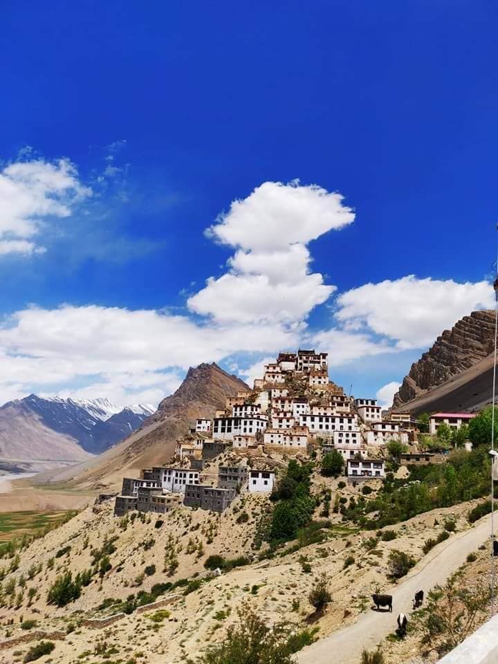 Photo of The Lost Tribe Hostels, Jagatsukh, Himachal Pradesh, India by Dinesh Kumar