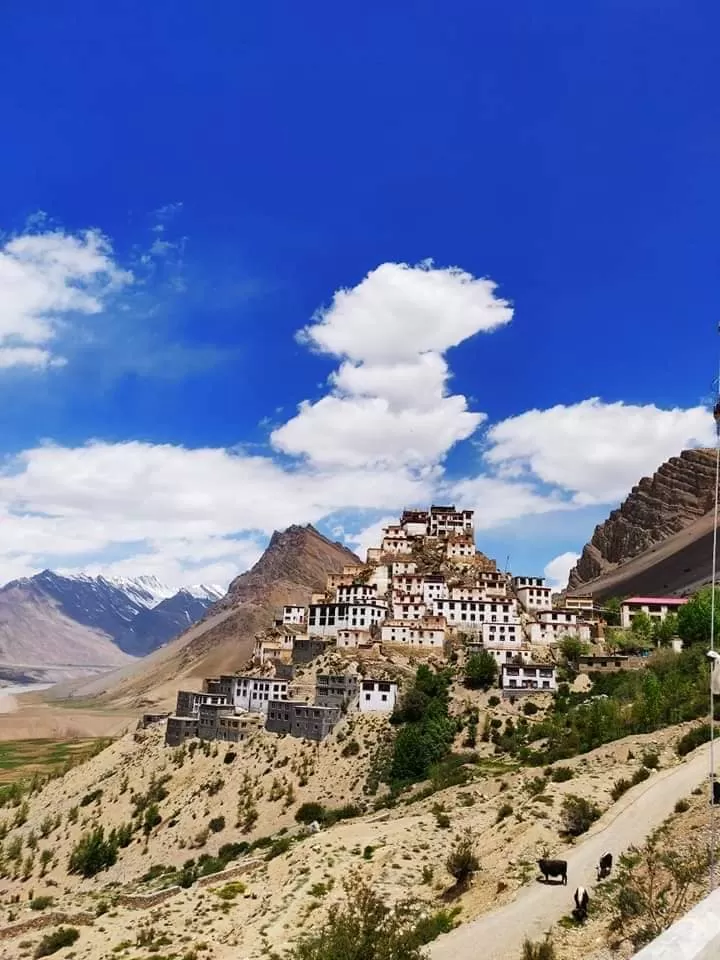 Photo of The Lost Tribe Hostels, Jagatsukh, Himachal Pradesh, India by Dinesh Kumar