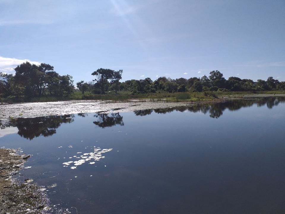 Photo of Around Sri Lanka by Swati Tiwari