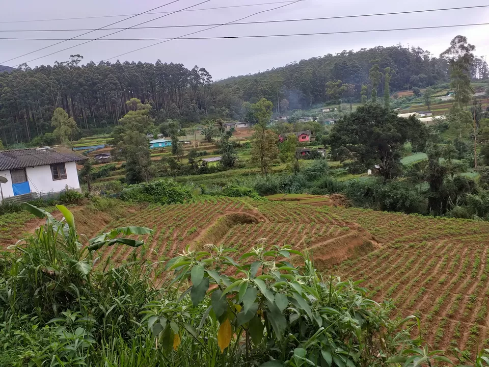 Photo of Around Sri Lanka by Swati Tiwari