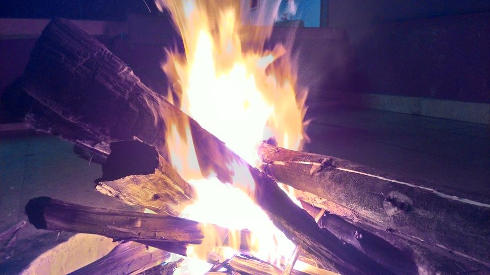 Photo of A Trek to the 2nd Highest Mountain of Southern India 5/16 by Ravi Ranjan Singh