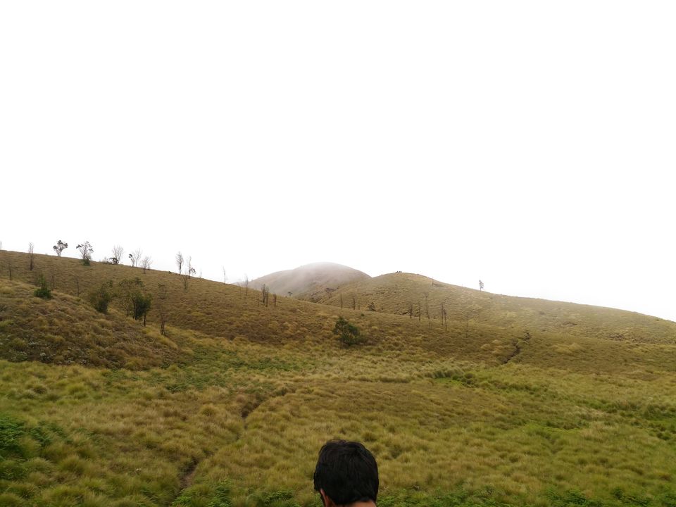 Photo of A Trek to the 2nd Highest Mountain of Southern India 7/16 by Ravi Ranjan Singh