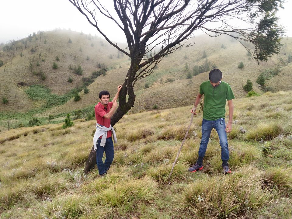 Photo of A Trek to the 2nd Highest Mountain of Southern India 10/16 by Ravi Ranjan Singh