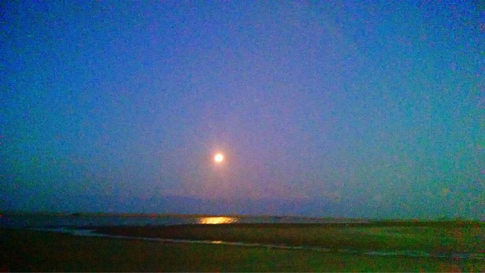 Photo of Dhanushkodi Is A Mystical Ghost Town You Must Visit For The Thrill Of A Lifetime 6/7 by Ravi Ranjan Singh