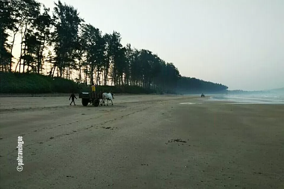 Photo of Kalbadevi Beach – The place with absolute peace & tranquility by Pranab Pal @paltravelogue