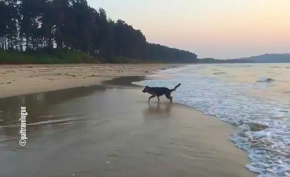 Photo of Kalbadevi Beach – The place with absolute peace & tranquility by Pranab Pal @paltravelogue