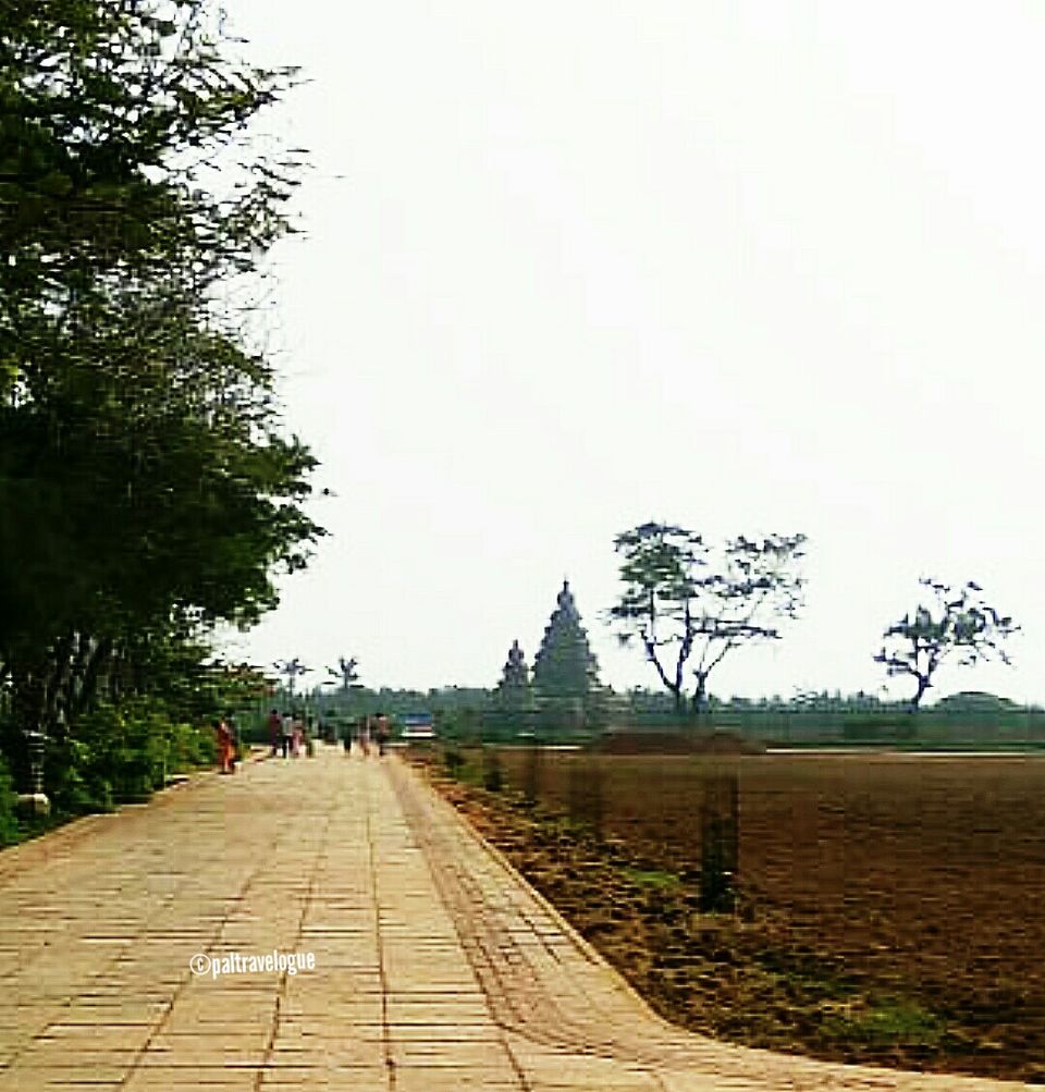Photo of Shore Temple of Pallava Dynesty - Still Amazing!! by Pranab Pal @paltravelogue