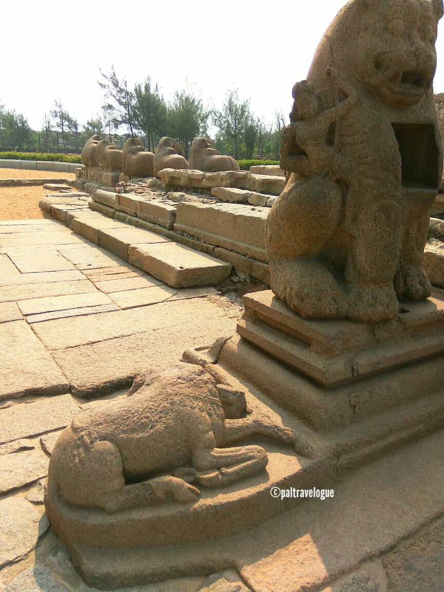 Photo of Shore Temple of Pallava Dynesty - Still Amazing!! by Pranab Pal @paltravelogue