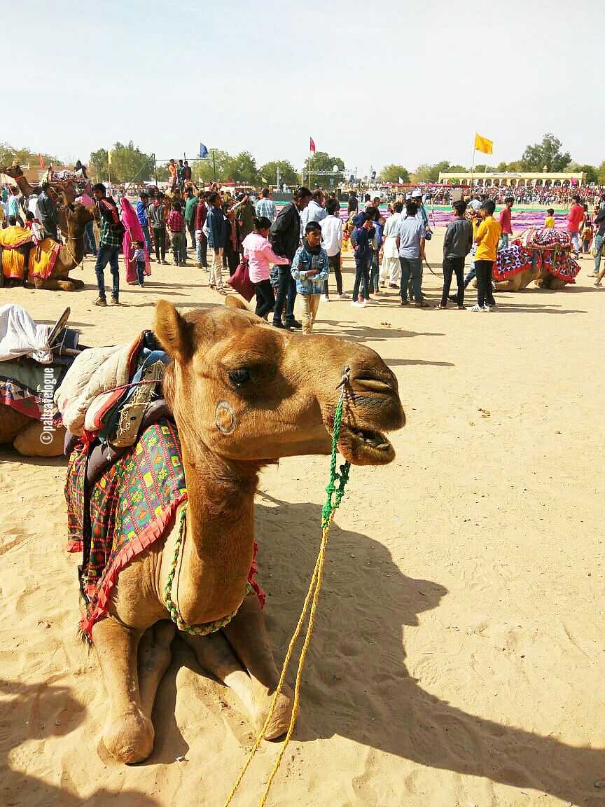 Photo of Jaisalmer Desert Festival 2019 – An Amazing Experiences !!! by Pranab Pal @paltravelogue