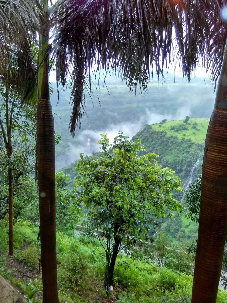Photo of A misty holiday around the hills of Khandala by Pranab Pal @paltravelogue