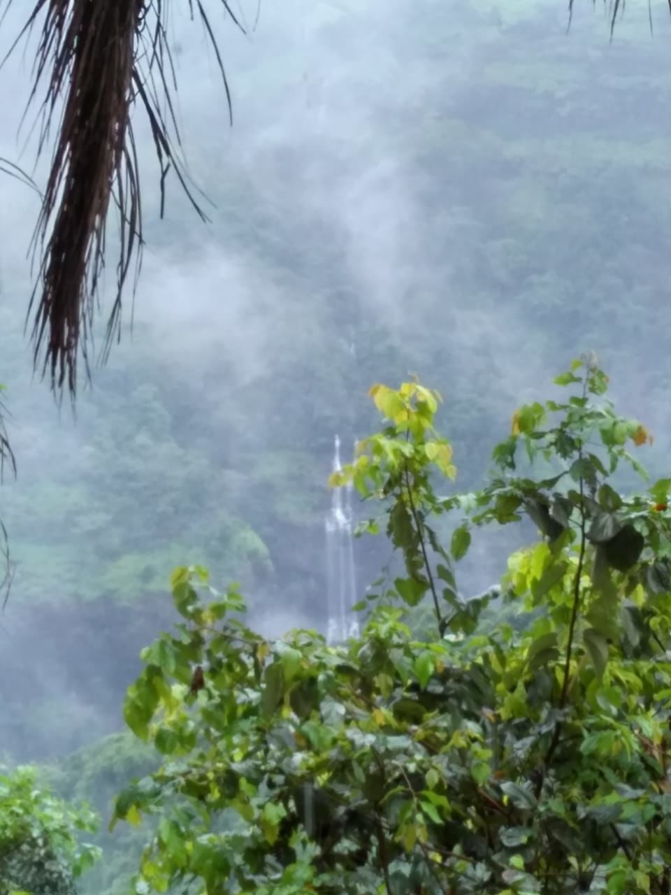 Photo of A misty holiday around the hills of Khandala by Pranab Pal @paltravelogue