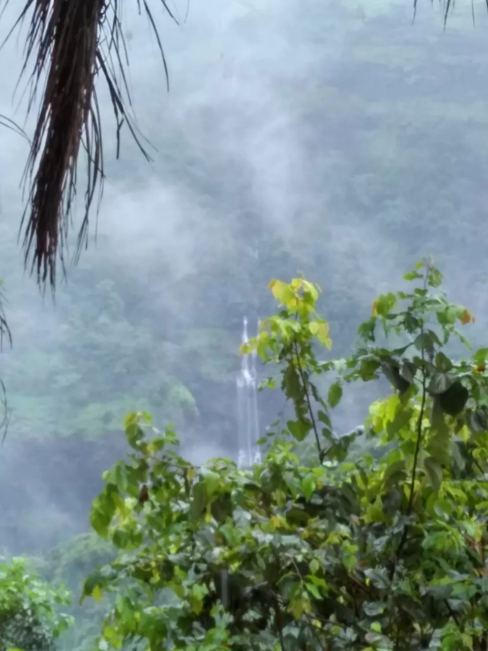 Photo of A misty holiday around the hills of Khandala by Pranab Pal @paltravelogue