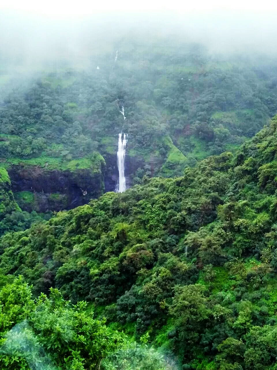 Photo of A misty holiday around the hills of Khandala by Pranab Pal @paltravelogue